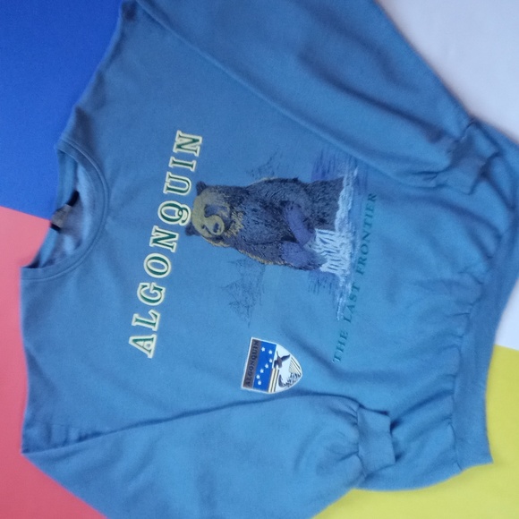 Vintage Other - Vintage 90s Algonquin The Last Frontier Bear Graphic Crewneck Sweater SEARS